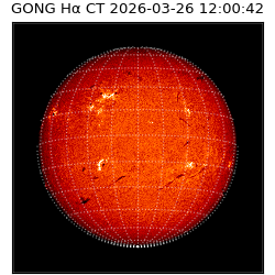 gong - 2026-03-26T12:00:42