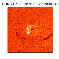 gong - 2026-03-27T20:00:42