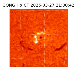 gong - 2026-03-27T21:00:42