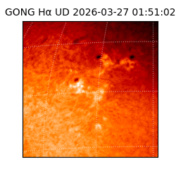 gong - 2026-03-27T01:51:02