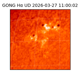 gong - 2026-03-27T11:00:02