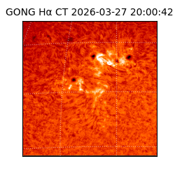 gong - 2026-03-27T20:00:42