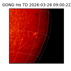 gong - 2026-03-28T09:00:22