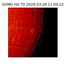 gong - 2026-03-28T11:00:22