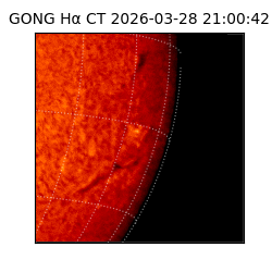 gong - 2026-03-28T21:00:42
