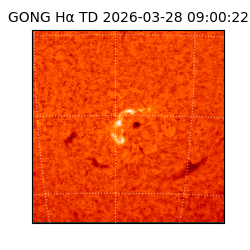 gong - 2026-03-28T09:00:22