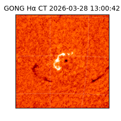 gong - 2026-03-28T13:00:42