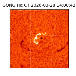 gong - 2026-03-28T14:00:42