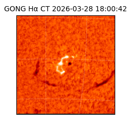 gong - 2026-03-28T18:00:42