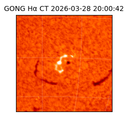 gong - 2026-03-28T20:00:42