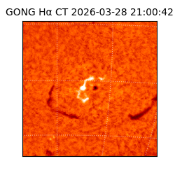 gong - 2026-03-28T21:00:42