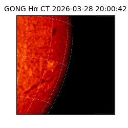gong - 2026-03-28T20:00:42