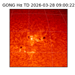 gong - 2026-03-28T09:00:22