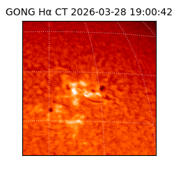 gong - 2026-03-28T19:00:42