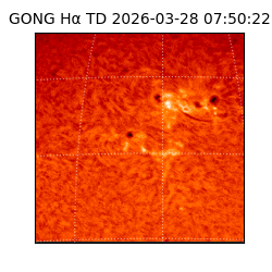 gong - 2026-03-28T07:50:22