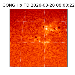 gong - 2026-03-28T08:00:22