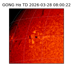 gong - 2026-03-28T08:00:22