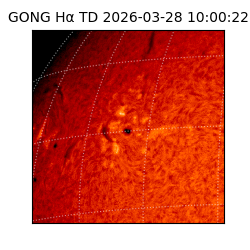 gong - 2026-03-28T10:00:22