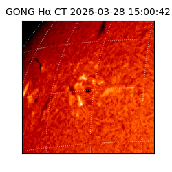 gong - 2026-03-28T15:00:42