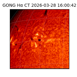 gong - 2026-03-28T16:00:42