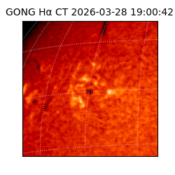 gong - 2026-03-28T19:00:42