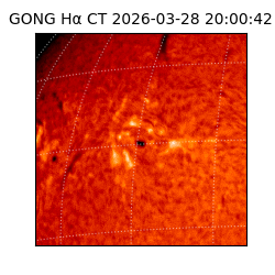 gong - 2026-03-28T20:00:42