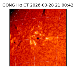 gong - 2026-03-28T21:00:42