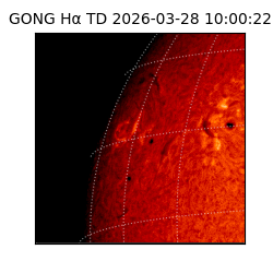 gong - 2026-03-28T10:00:22