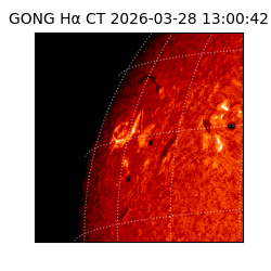 gong - 2026-03-28T13:00:42