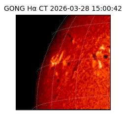 gong - 2026-03-28T15:00:42