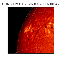 gong - 2026-03-28T16:00:42