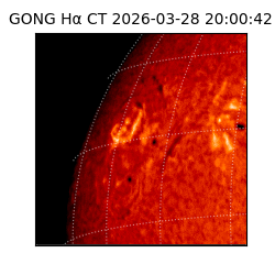 gong - 2026-03-28T20:00:42