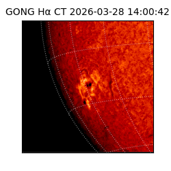 gong - 2026-03-28T14:00:42