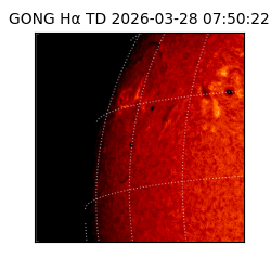 gong - 2026-03-28T07:50:22