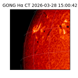 gong - 2026-03-28T15:00:42