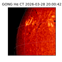 gong - 2026-03-28T20:00:42