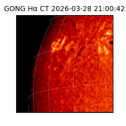 gong - 2026-03-28T21:00:42
