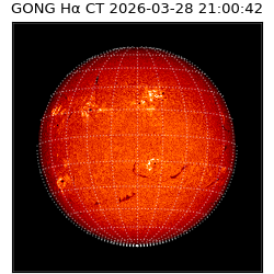 gong - 2026-03-28T21:00:42