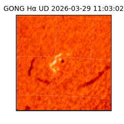 gong - 2026-03-29T11:03:02