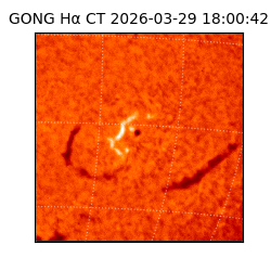 gong - 2026-03-29T18:00:42