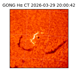 gong - 2026-03-29T20:00:42