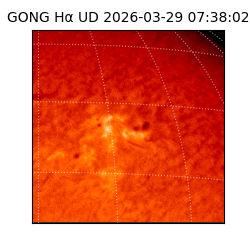 gong - 2026-03-29T07:38:02