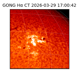 gong - 2026-03-29T17:00:42