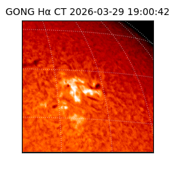 gong - 2026-03-29T19:00:42