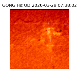 gong - 2026-03-29T07:38:02