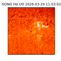 gong - 2026-03-29T11:03:02