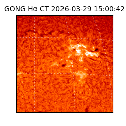 gong - 2026-03-29T15:00:42