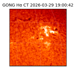 gong - 2026-03-29T19:00:42