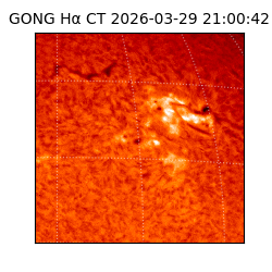 gong - 2026-03-29T21:00:42