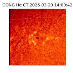 gong - 2026-03-29T14:00:42